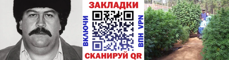 Где купить Изобильный Конопля Амфетамин Мефедрон СК
