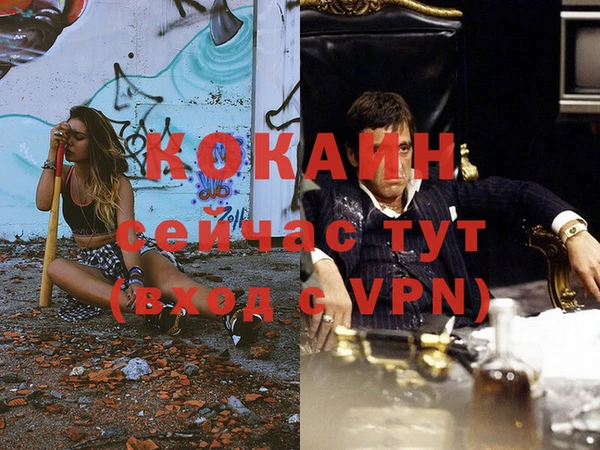МДПВ Инта