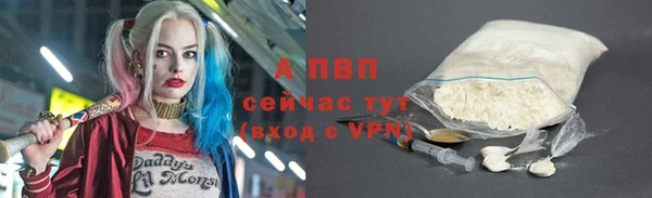 МДПВ Инта