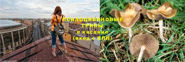 МДПВ Инта