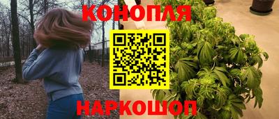 spice Кулебаки