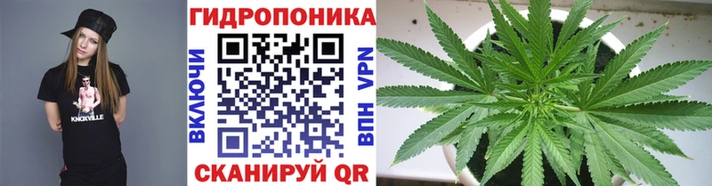 Бошки Шишки OG Kush Изобильный